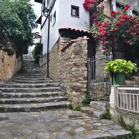 Appartement Camelia Luxury