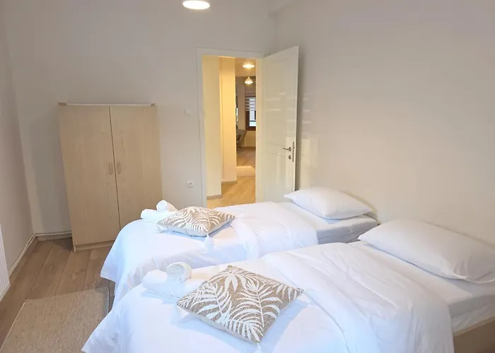 Camelia Luxury