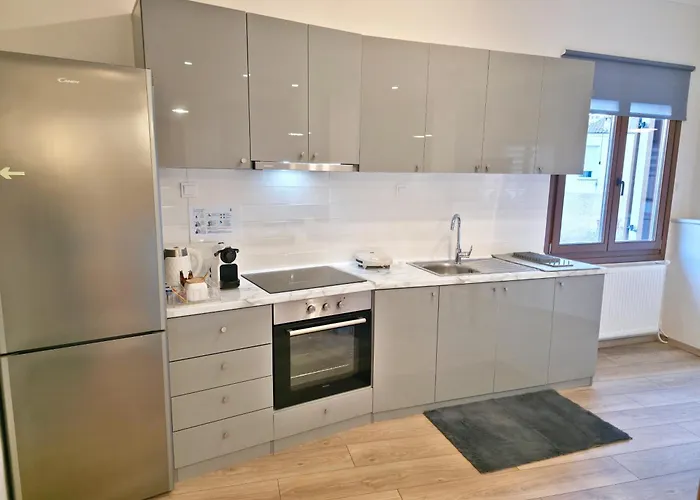 Camelia Luxury Apartamento Castória